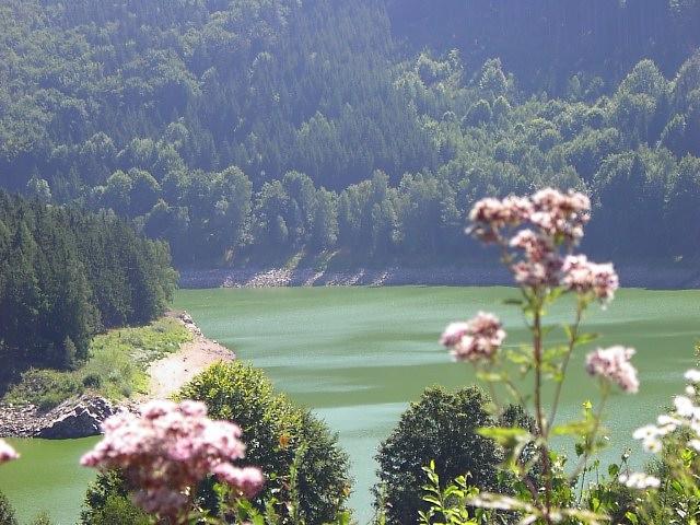 Rodinne Ubytovani Na Habesi Crhov Exteriör bild